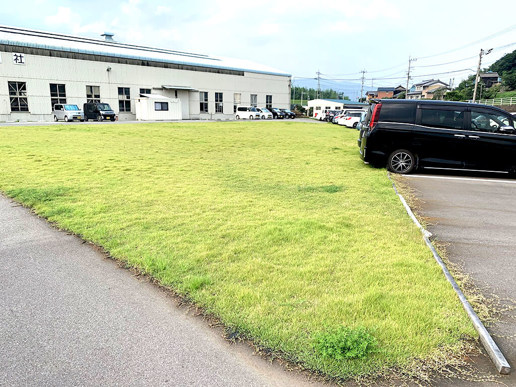 芝生が生えた駐車場
